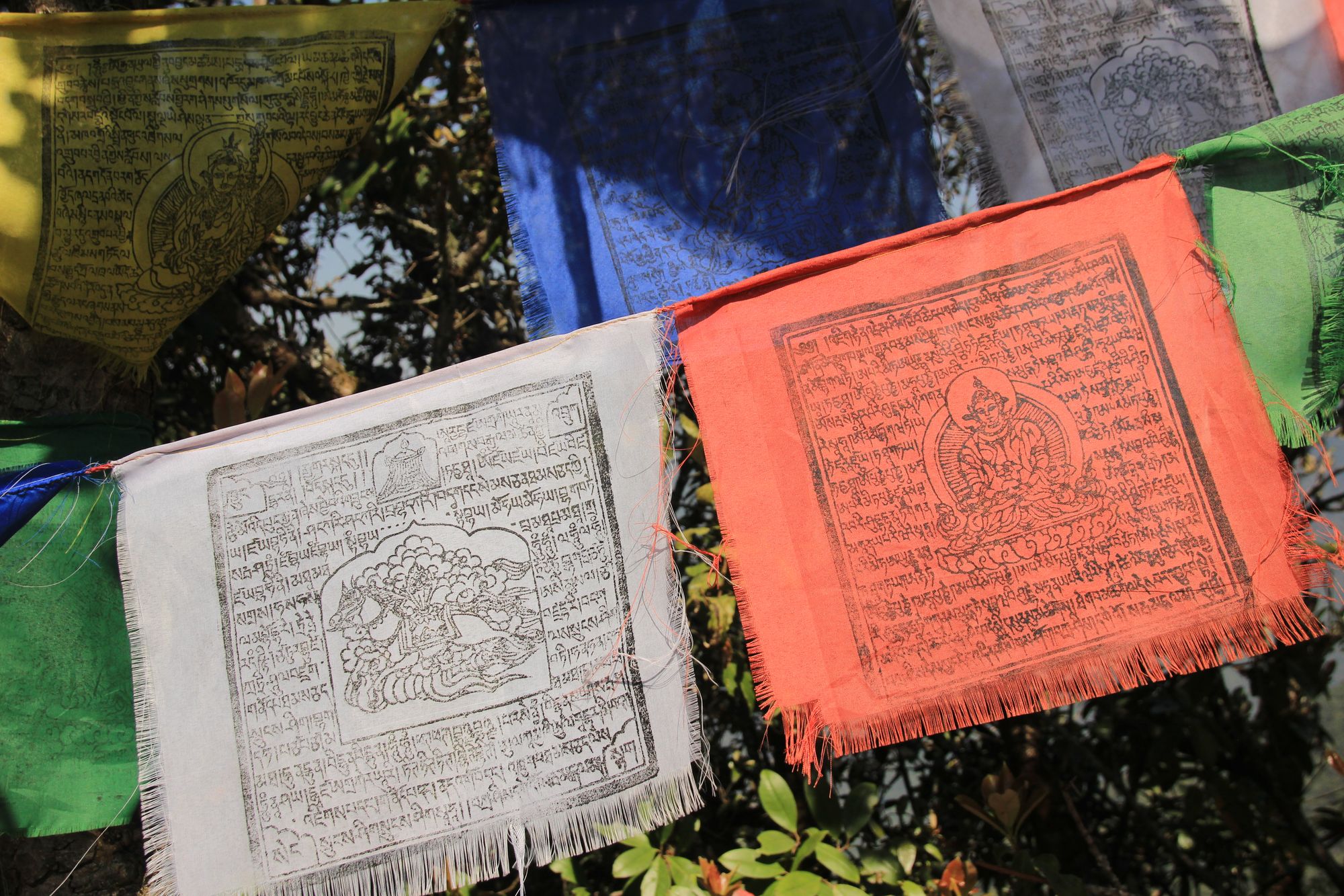 Good quotes by Guru Rinpoche from the best book, "Tibetan book of the dead"