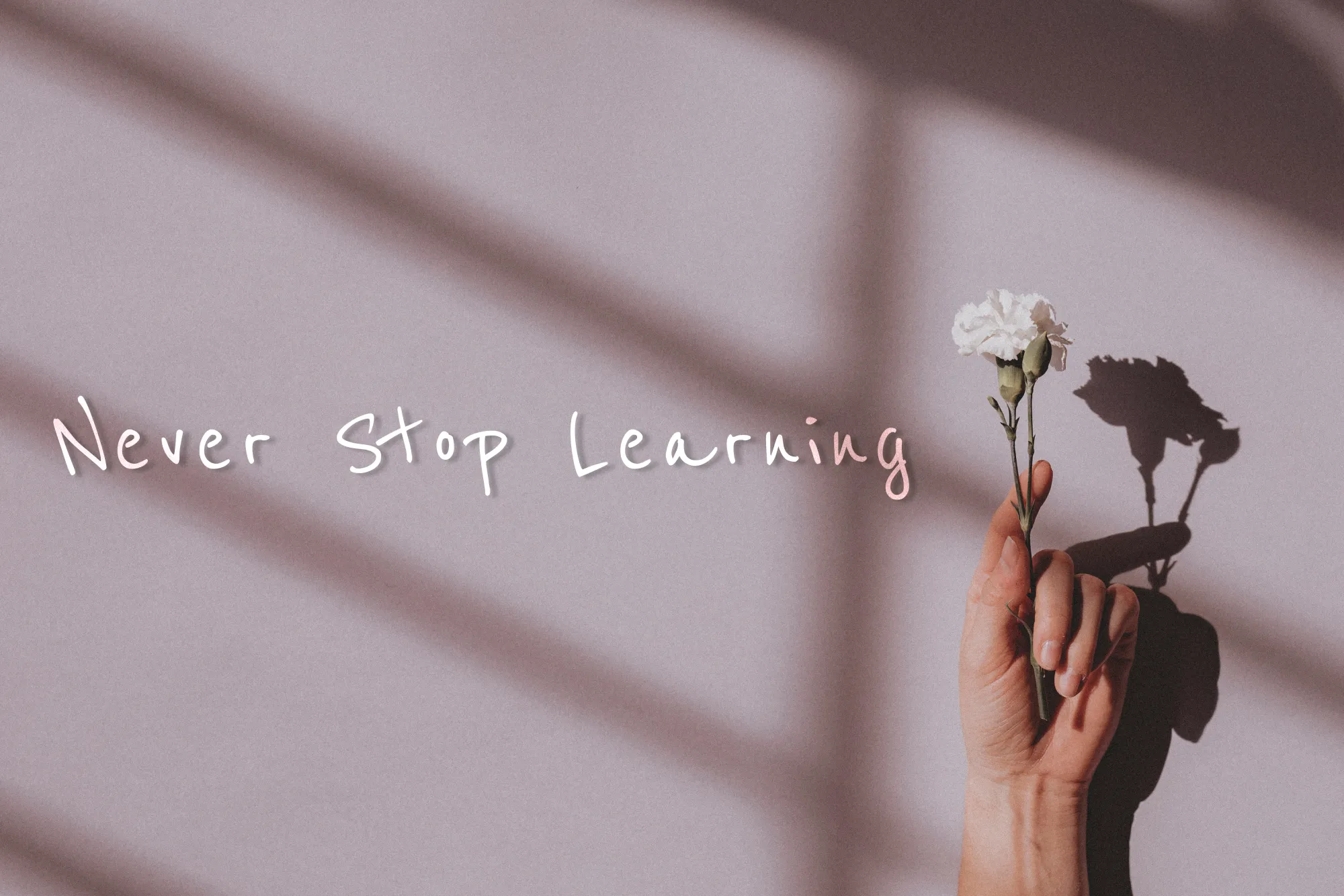 Positive diary writing quotes for motivation