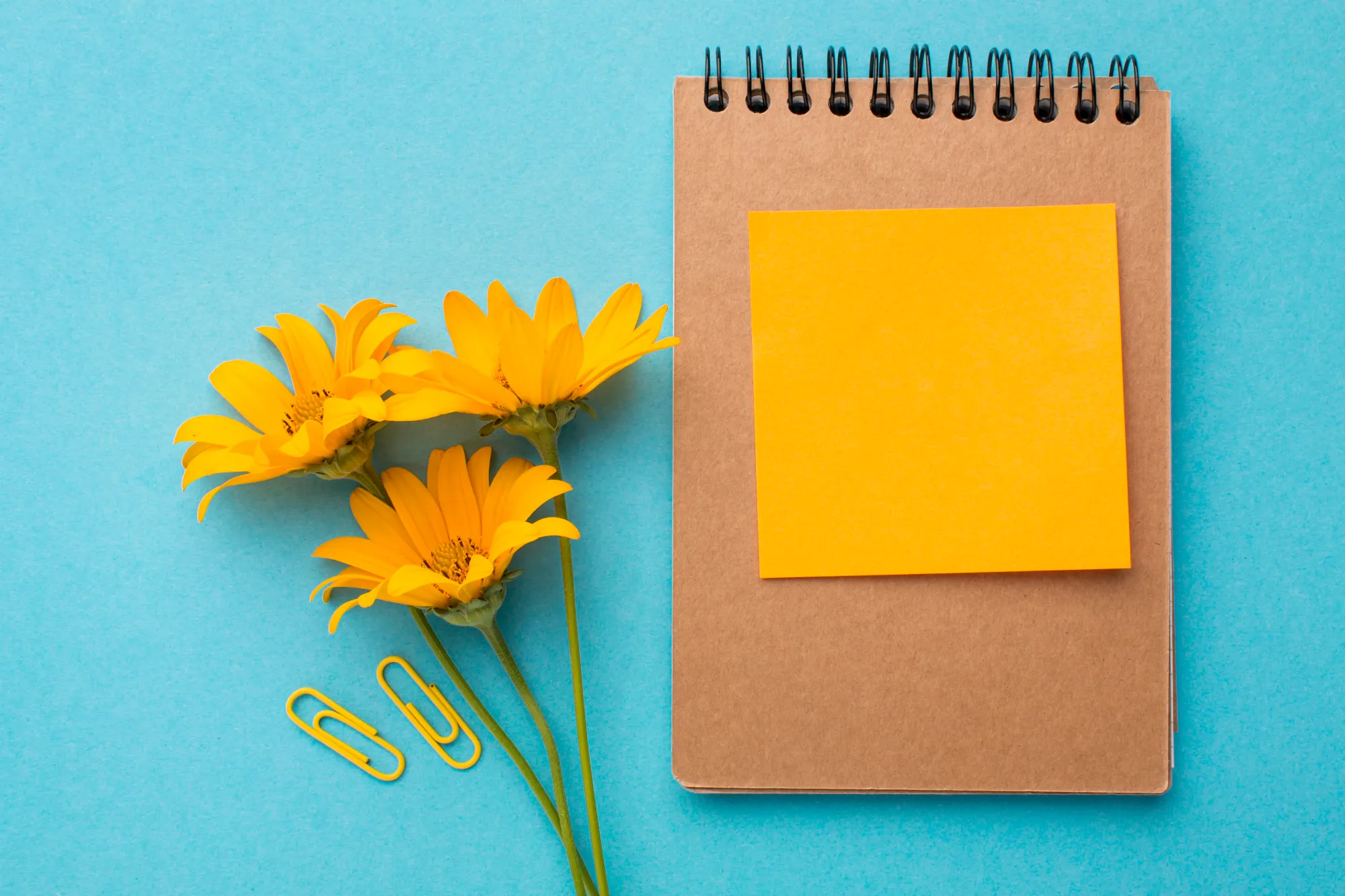Gratitude journaling for recovering from Christmas fatigue