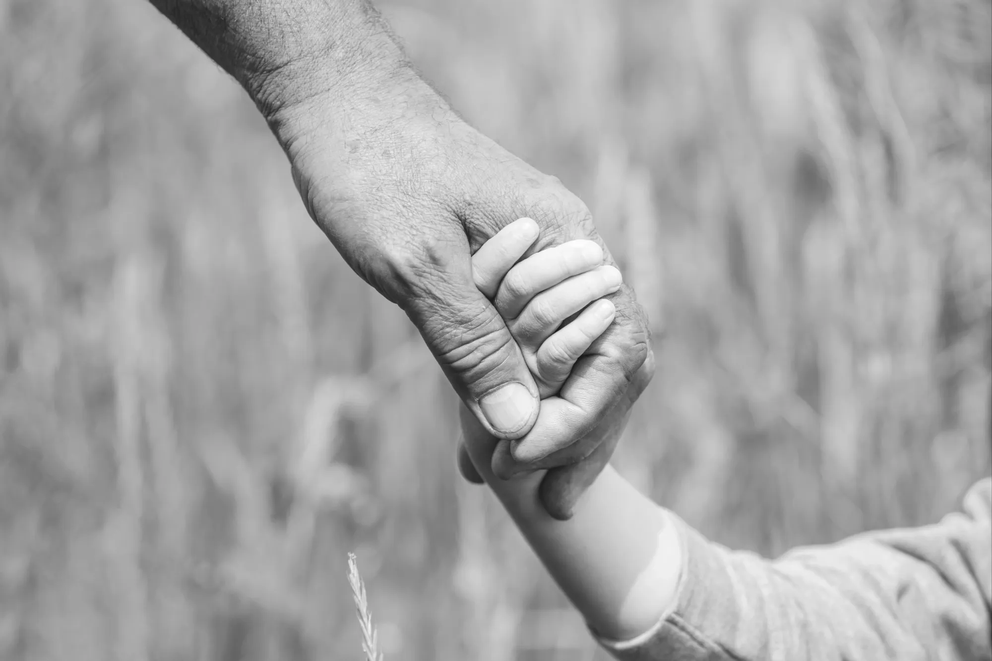 This Father's Day: 8 Gifts for Dad's Long & Healthy Life
