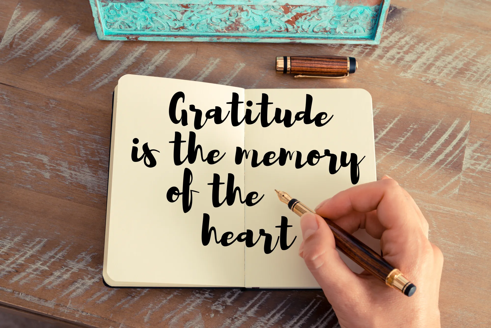 Positive gratitude affirmations to show words of appreciation in the morning
