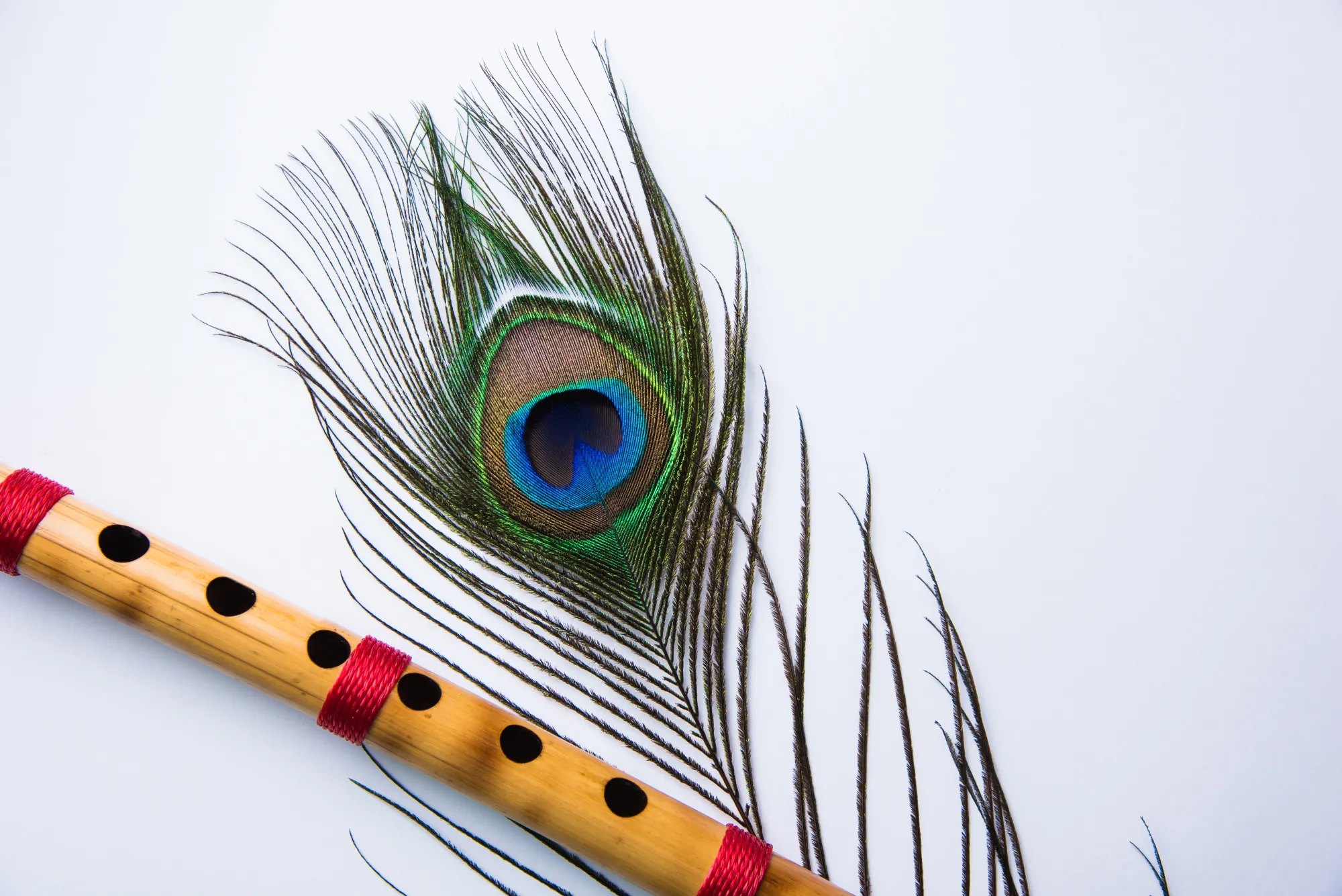 Lord Krishna's peacock feather representing Bhagavad gita quotes for students